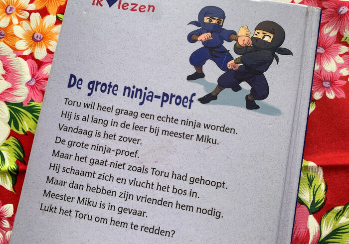 De grote ninja proef sidepicll