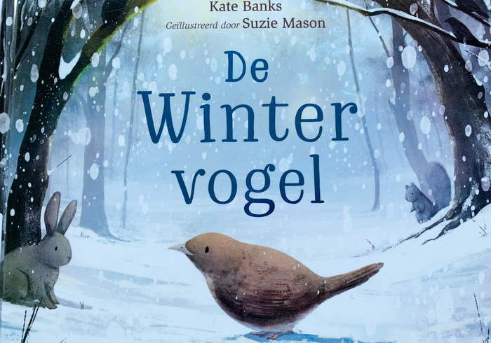 De wintervogel homepage