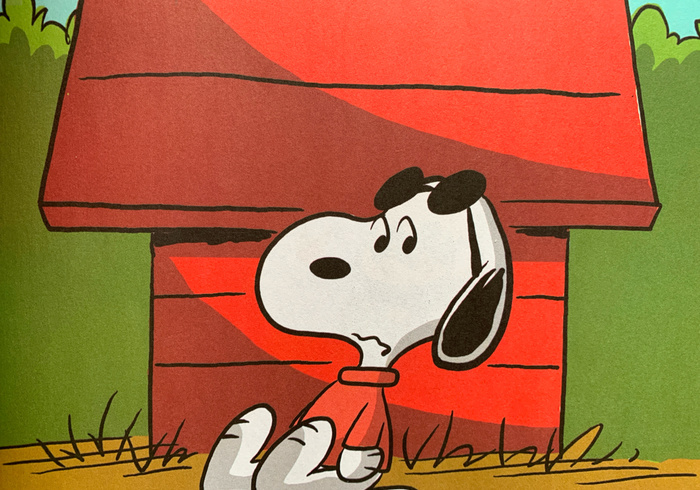 Happy thanksgiving snoopy! 02