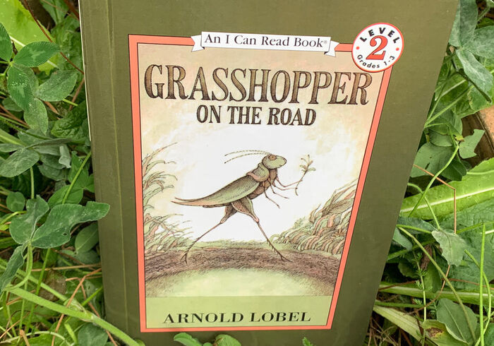 Grasshopper on the road sidepic