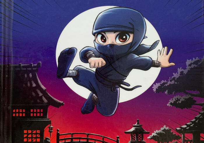 De grote Ninja proef