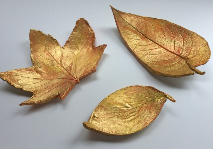These golden Autumn leafs
