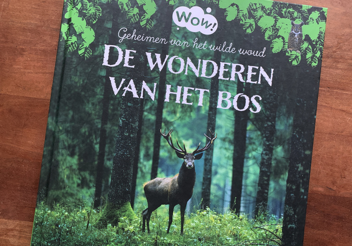 WOW! - Wonders of the forest