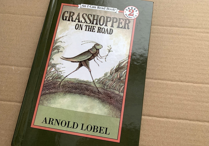 Grashopper on the road