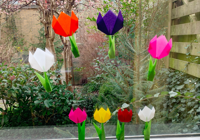 How to fold tulips