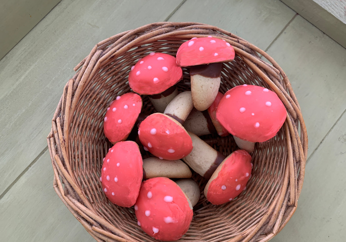 3D Paddenstoeltjes van koek