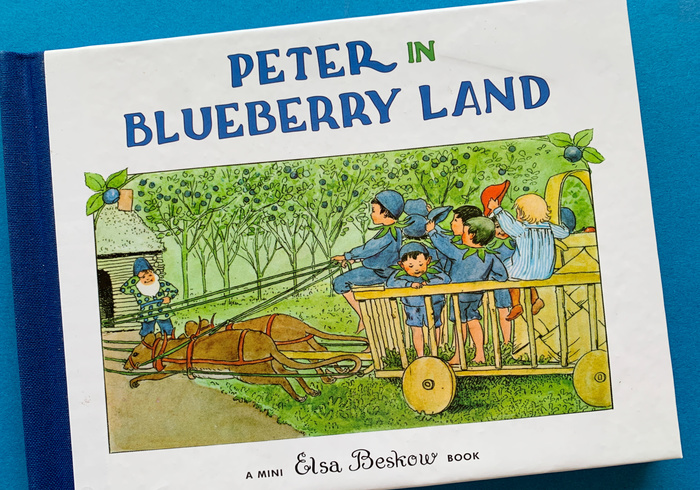 Peter in blueberry land