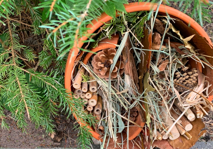 Maak een insectenhotel