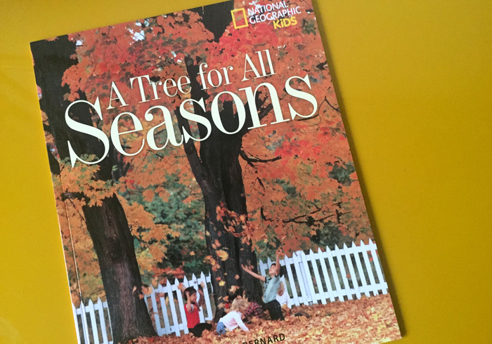 A tree for all seasons (Een boom voor elk seizoen)