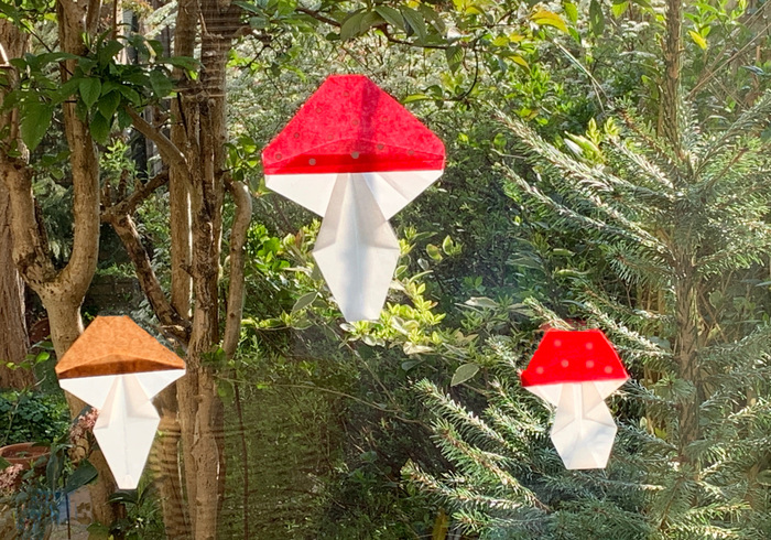 Paddenstoelen