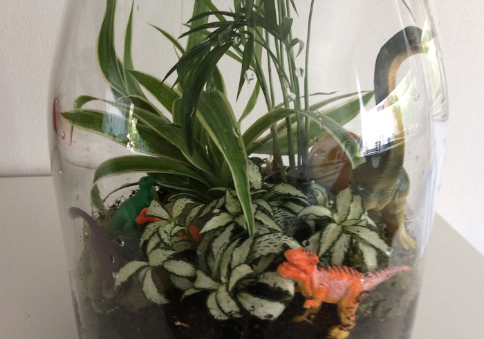 Een Dino-terrarium